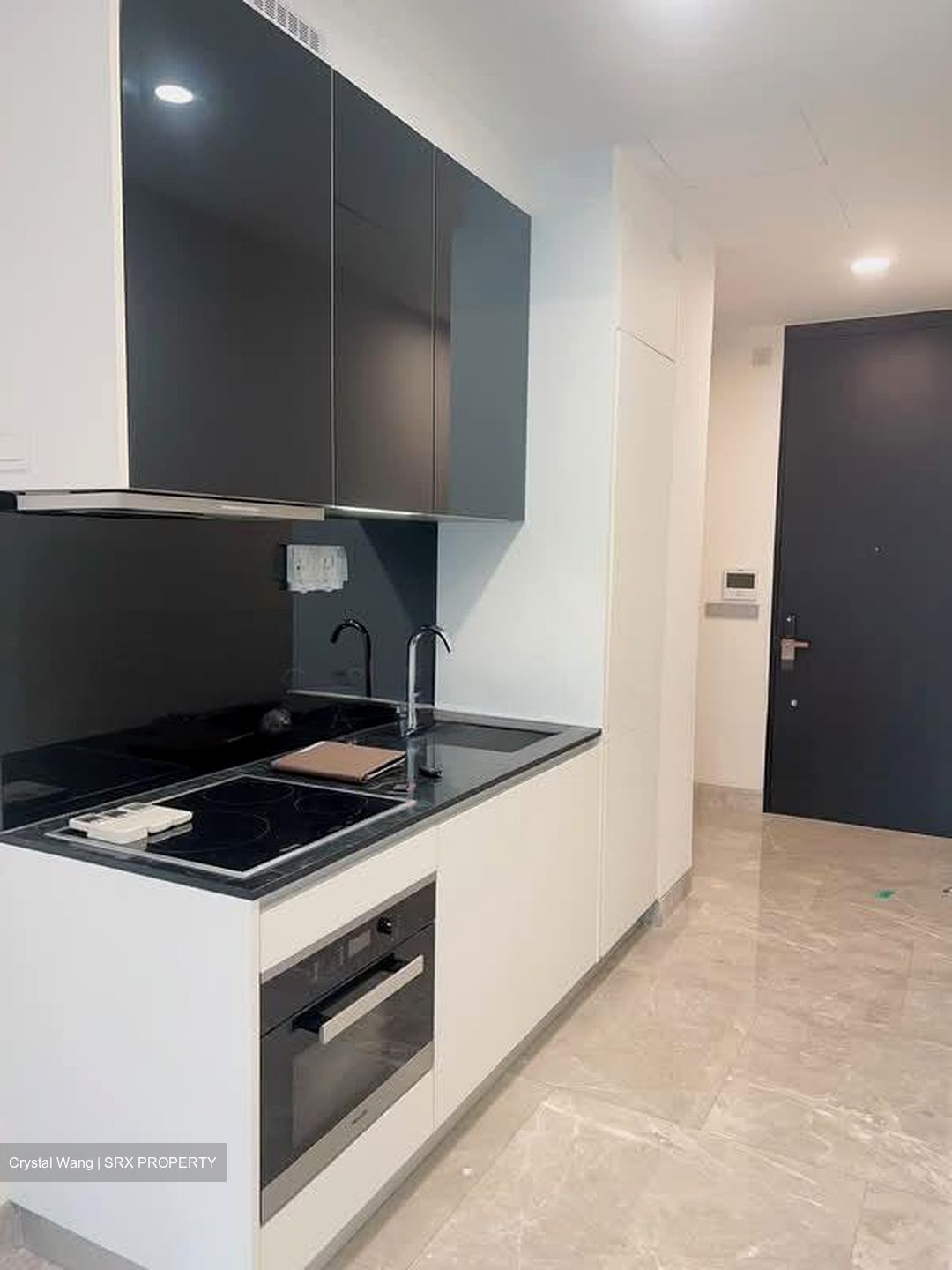 Martin Modern (D9), Condominium #566145051